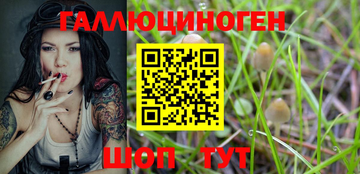Псилоцибиновые грибы MAGIC MUSHROOMS Феодосия